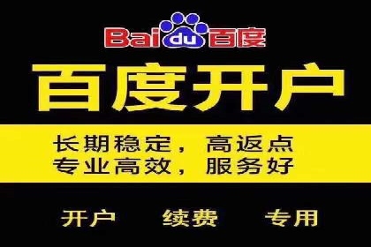 案例解读：SEM广告投放的技巧与策略